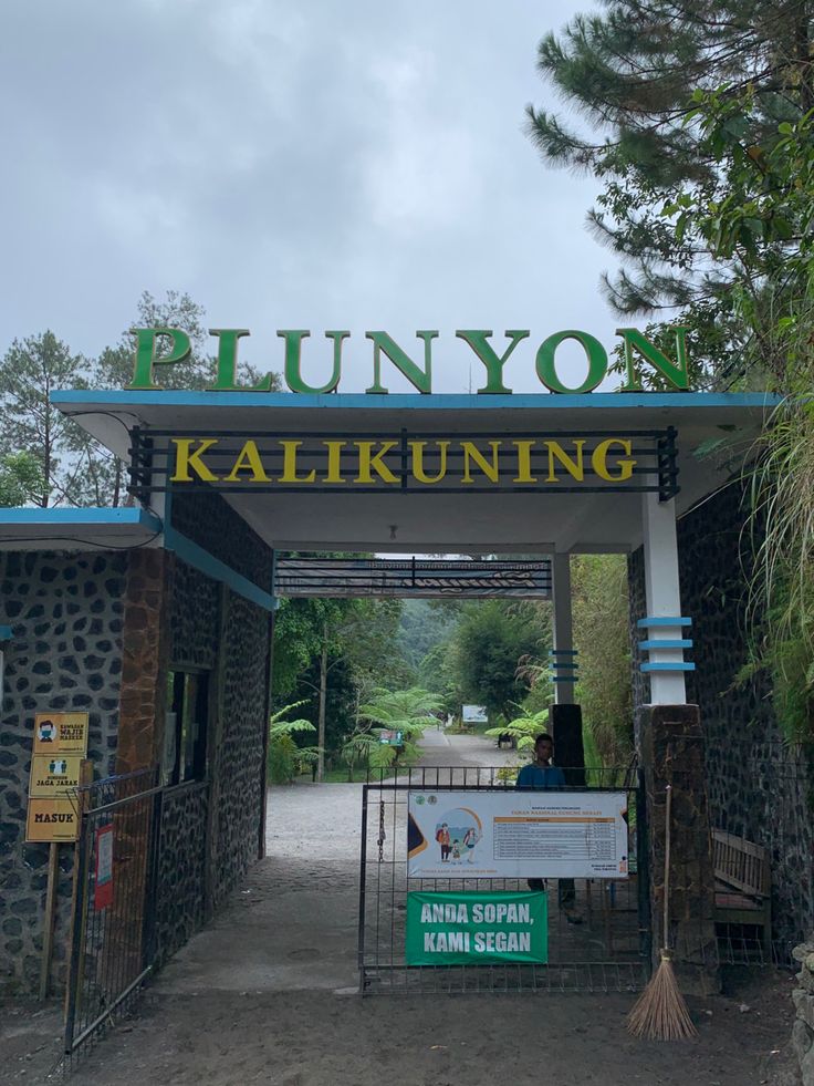 Plunyon